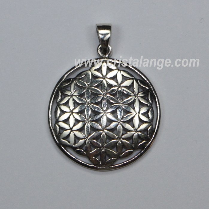 Découvrez ce pendentif fleur de vie en argent, ainsi que de nombreux autres bijoux ésotériques ou feng shui sur le site de cristalange.com