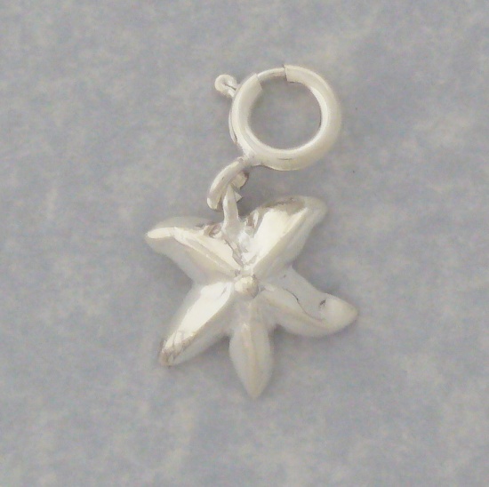 Silver starfish charm
