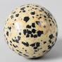 Jasper Yoni egg