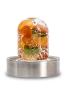 Elixir Joie de jade nephrite cornaline calcite orange cristal de roche flacon mobile